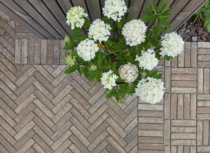 FORBET Listello kostka jodła Gr. 6cm Multikolor